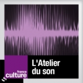 visuel illustrant la soirée des Djangodor au théâtre Marigny, le samedi 27 novembre 2010